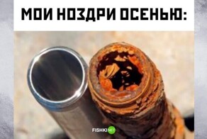 Комментарии и картинки из соцсетей. Свежак за 8 октября
