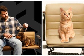 Компьютерное кресло с дополнительным местом для питомцев