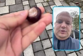 "Не ешьте наши каштаны": мэр Железноводска записал видеообращение к гостям курортного города