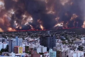 В Аргентине вспыхнули лесные пожары из-за любителя кофе