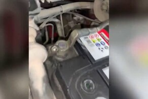 В Стерлитамаке сотрудники автосервиса спасли котят, которые залезли под капот автомобиля