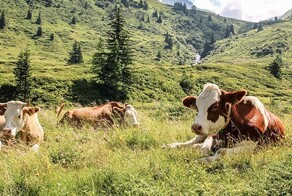Люди из разных стран рассказали, чего категорически не должны делать туристы