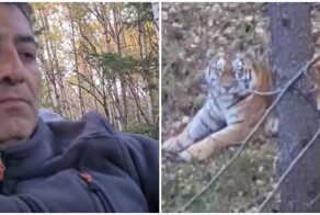 Два охотника встретились взглядом в лесу