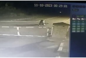 Тигр напал на пса на российской границе