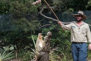 Крокодил напал на смотрителя заповедника