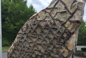 Вафельный камень озера Дженнингс – талант древних, креатив инопланетян или шутки высших сил?