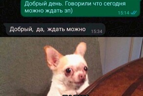 СМС-переписки, которые веселят своей неожиданностью