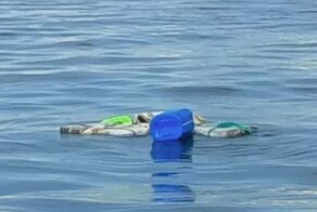 Чайки привели рыбака к крупной партии наркотиков