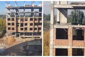 Отчаянный прыжок пса попал на видео