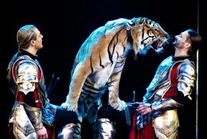 Братьев Запашных вызвали в Госдуму и потребовали объяснений за жестокое обращение с животными