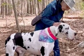 Бабушка потеряла мужа — но нашла свою отдушину в собаках