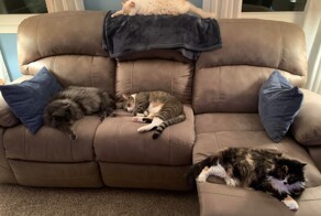 С добрым утром