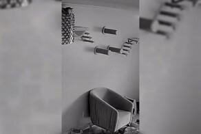 Голливуд уже заждался этого кота