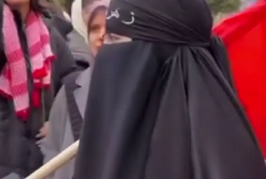 «Полуголые, полураздетые»: в Москве, на митинге в поддержку Палестины, женщина в никабе сравнила демонстрантов с «неверными»