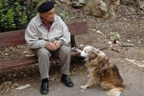 Особенности ухода за пожилыми домашними животными