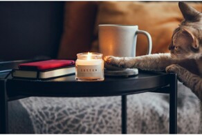 Почему коты обожают сбрасывать предметы