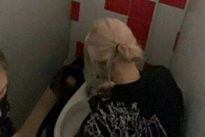 В Сыктывкаре школьницы принесли в школу части тела кота и хвастались перед одноклассниками