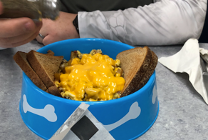 15 голодных людей, для которых шеф-повар оказался слишком креативным