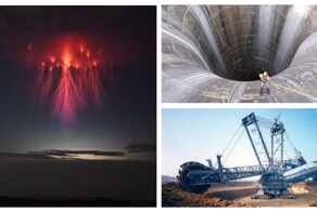 30 фотографий, пугающих до смерти мегалофоба