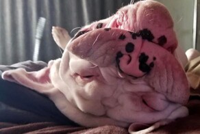 20 затейливых изображений, которые введут вас в заблуждение