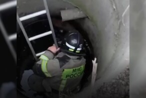 Во Владикавказе спасли упавшего в колодец щенка