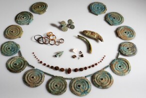 Зуб бобра, акулы и золотые украшения бронзового века: в Швейцарии обнаружили необычный клад