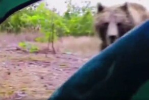"Доброе утро, просыпайтесь": случай в походе