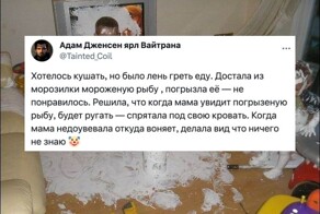 Вытворяльщики: пользователи вспоминают, какую "дичь" делали в детстве