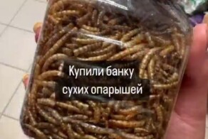 Что могло пойти не так? Украшение к Хэллоуину превратилось в проблему