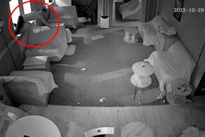 В Липецке полуголый парень разбил головой окно в котокафе, влез внутрь и уснул на диване