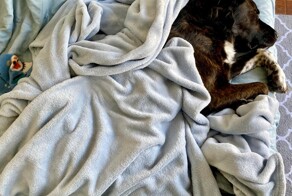 С добрым утром