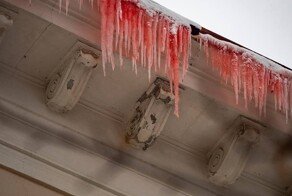 Жители Петрозаводска утром обнаружили дом весь в кровавых подтёках