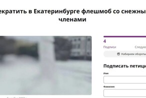 Вице-мэр Екатеринбурга захотел направить полицейских на борьбу со снежными пенисами