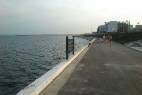 Редчайший памятник (2 фото)