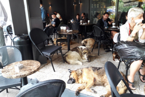 15 фотографий, доказывающих, что человечество ещё имеет шанс на выживание