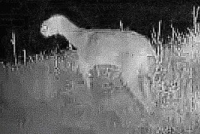 15 странных фото с камер наблюдения, которые наводят жути