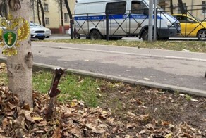 "Он бы еще кого-нибудь порезал": в Люберцах нашли мужчину, который помог обезвредить неадеквата с мачете