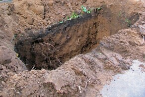 На Урале девушки вывезли 54-летнюю женщину в лес и заставили копать могилу