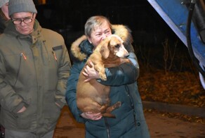 В Подольске спасли собаку, застрявшую между трубами в канализационном люке