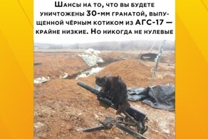 Комментарии и картинки из соцсетей. Свежак за 11 ноября