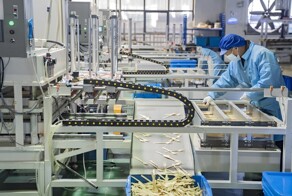 В Китае решили постепенно заменить пластмассу бамбуком