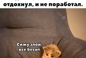 Вечерний улыбатор