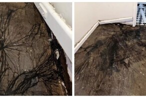 Австралийка обнаружила во время ремонта пугающие чёрные наросты на полу