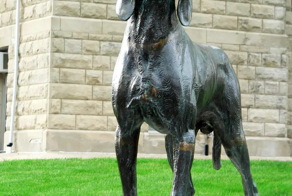 «Собака – лучший друг человека»: обстоятельства появления этой фразы