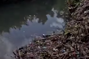 Неравнодушные индонезийцы ежедневно очищают водоемы от мусора