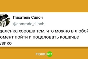 Удалёнщики — люди, которые буквально живут на работе