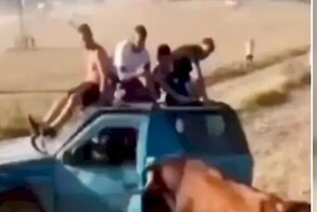 Бык атаковал автомобиль и оторвал дверь