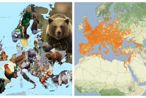 30+ интересных карт, которые расширят ваши представления о мире