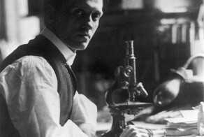 Неряшливый спаситель человечества: как Александр Флеминг открыл пенициллин