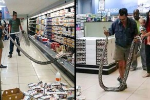 17 фотографий, доказывающих, что абсурд всегда где-то рядом